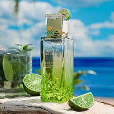 Mojito obsession 100ml
