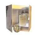 Silver Elixer 100ml